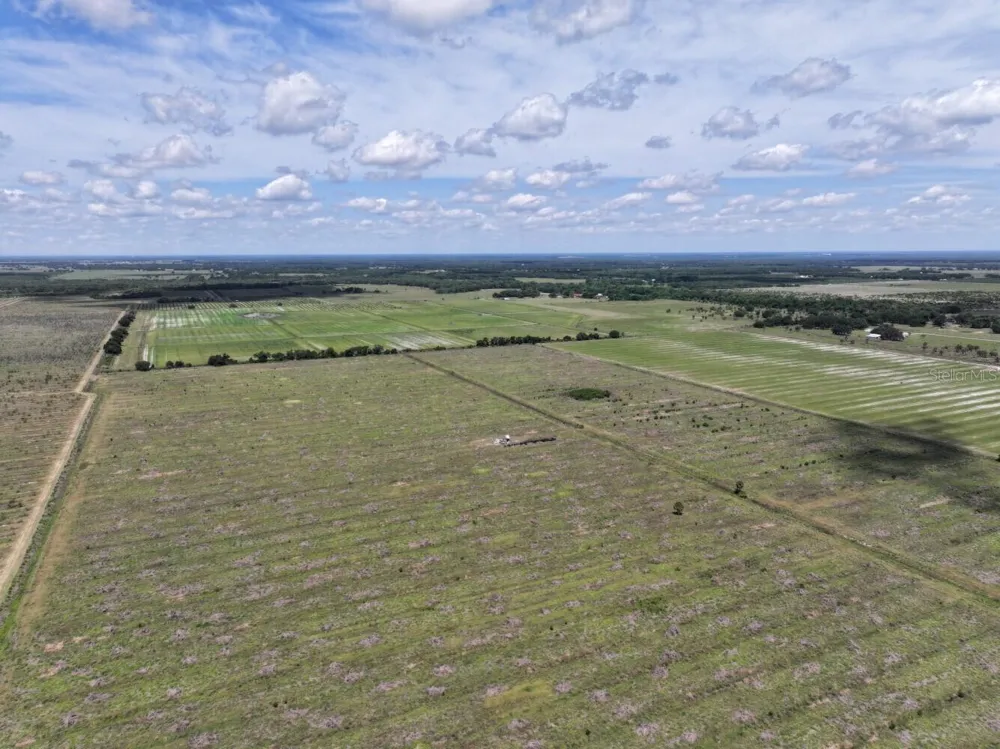 6691 SE COUNTY ROAD 763 Arcadia, FL 34266