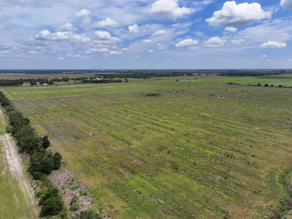 6691 SE COUNTY ROAD 763 Arcadia, FL 34266