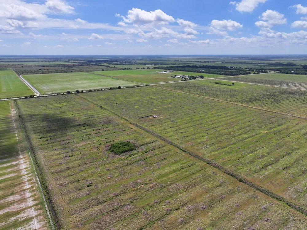 6691 SE COUNTY ROAD 763 Arcadia, FL 34266
