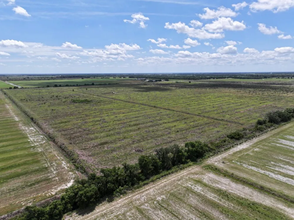 6691 SE COUNTY ROAD 763 Arcadia, FL 34266