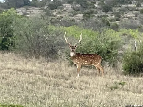 21 HIGH LONESOME RANCH