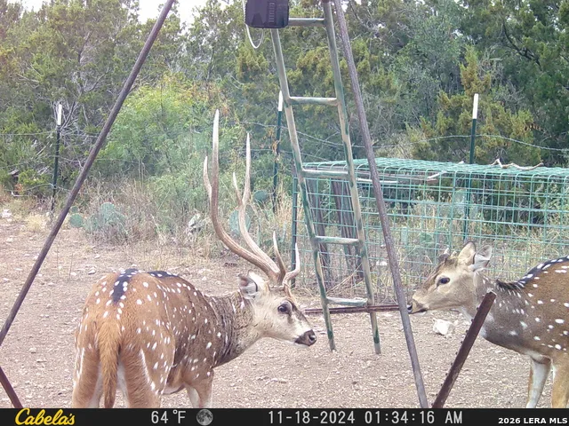 21 HIGH LONESOME RANCH Comstock, TX 78837