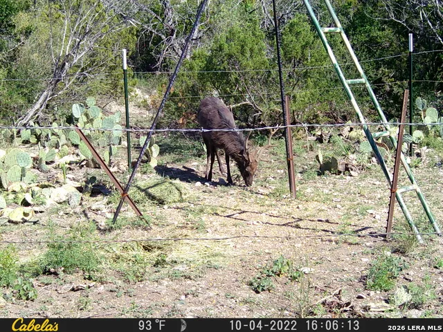 21 HIGH LONESOME RANCH Comstock, TX 78837