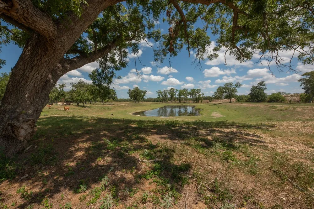 6887 Von Ormy Road San Antonio, TX 78073