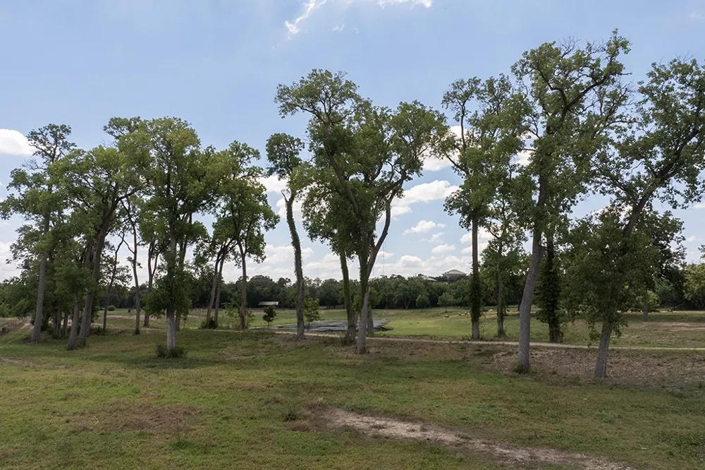 6887 Von Ormy Road San Antonio, TX 78073