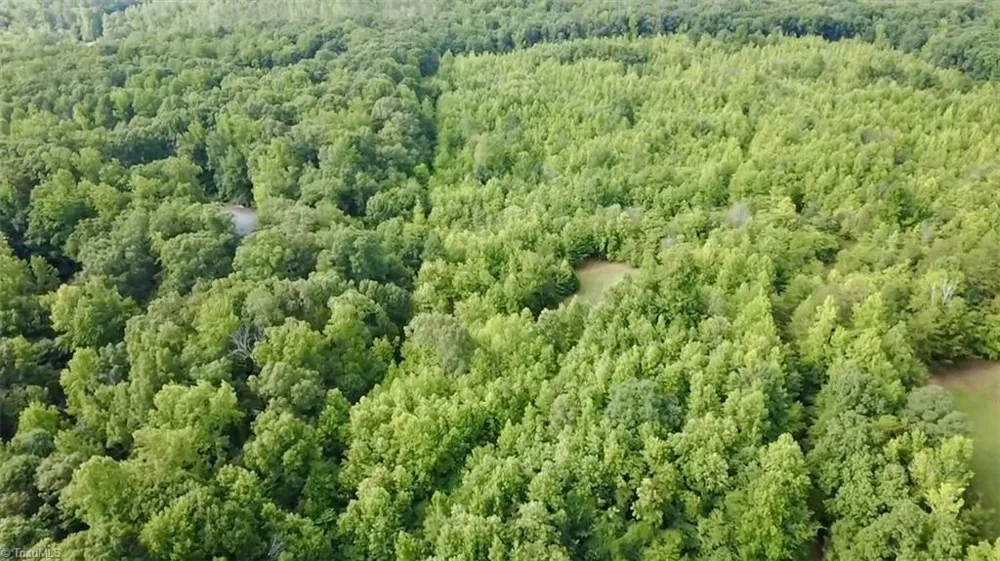 00 Farmer Road Denton, NC 27239