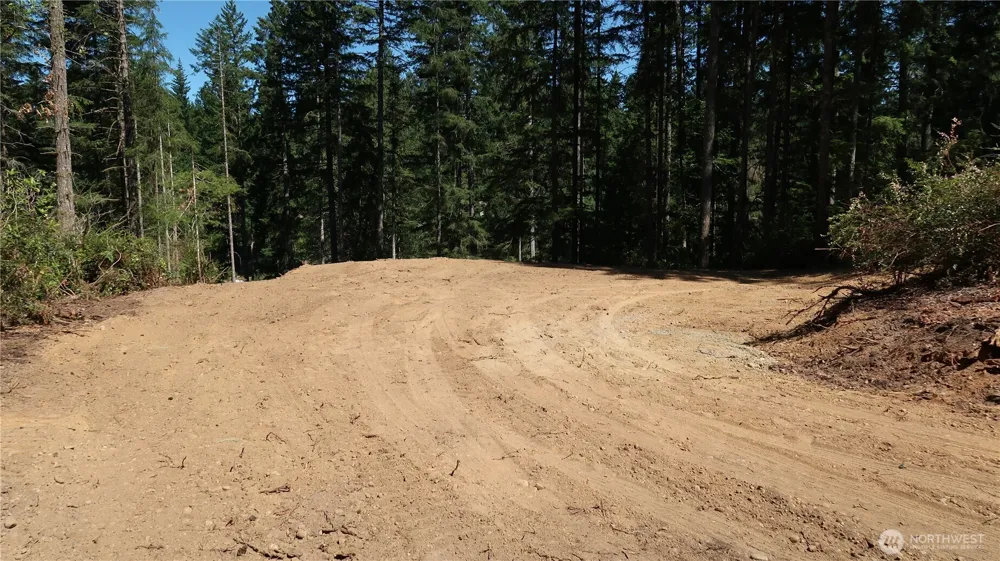 431 NE Collins Lake Dr. Tahuya, WA 98588