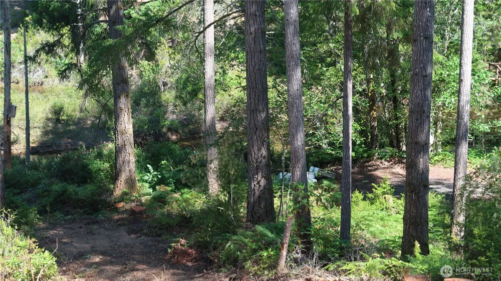 431 NE Collins Lake Dr. Tahuya, WA 98588
