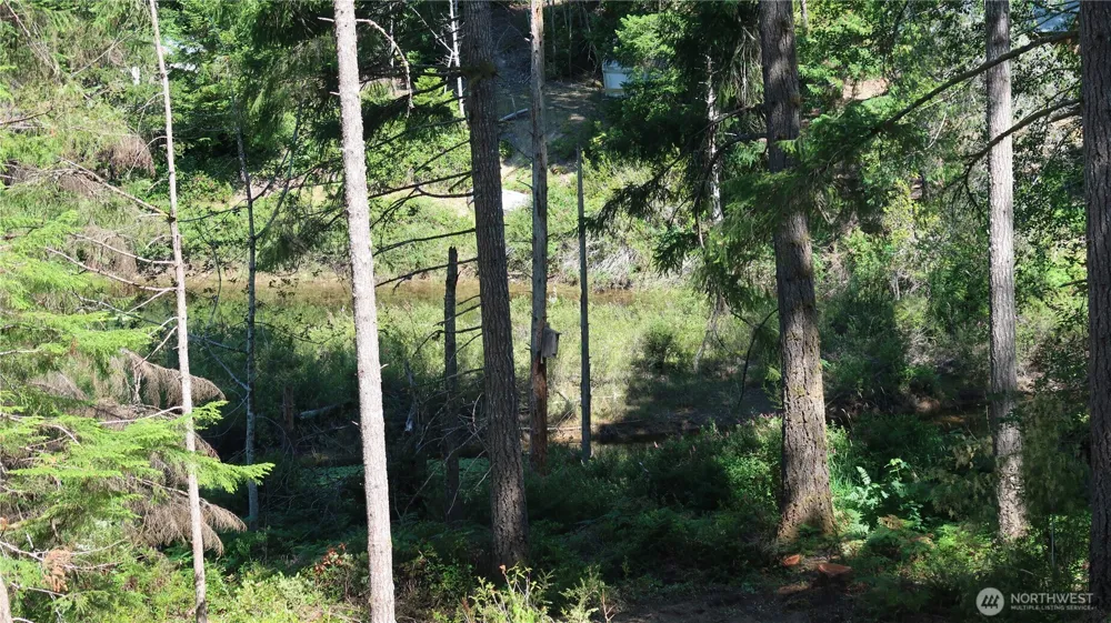 431 NE Collins Lake Dr. Tahuya, WA 98588