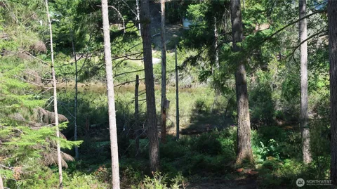 431 NE Collins Lake Dr.