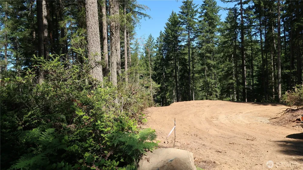 431 NE Collins Lake Dr. Tahuya, WA 98588