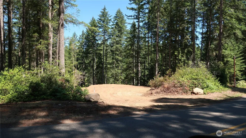 431 NE Collins Lake Dr. Tahuya, WA 98588