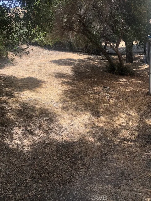 North Trail
