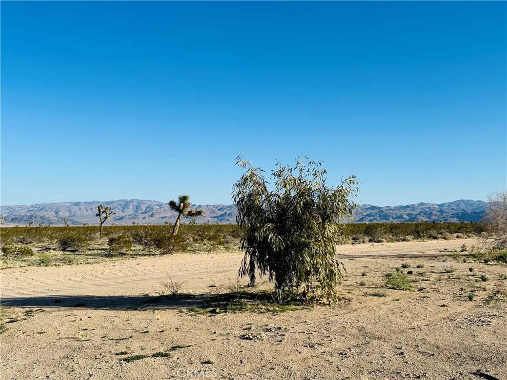 1974 Sunset Joshua Tree, CA 92252