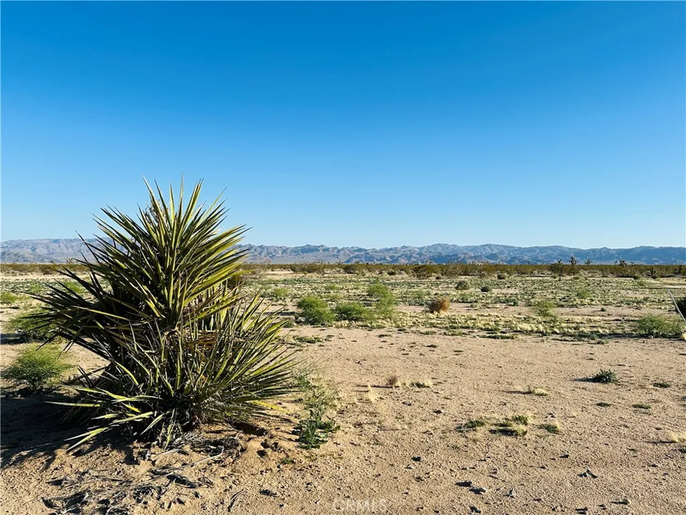 1974 Sunset Joshua Tree, CA 92252