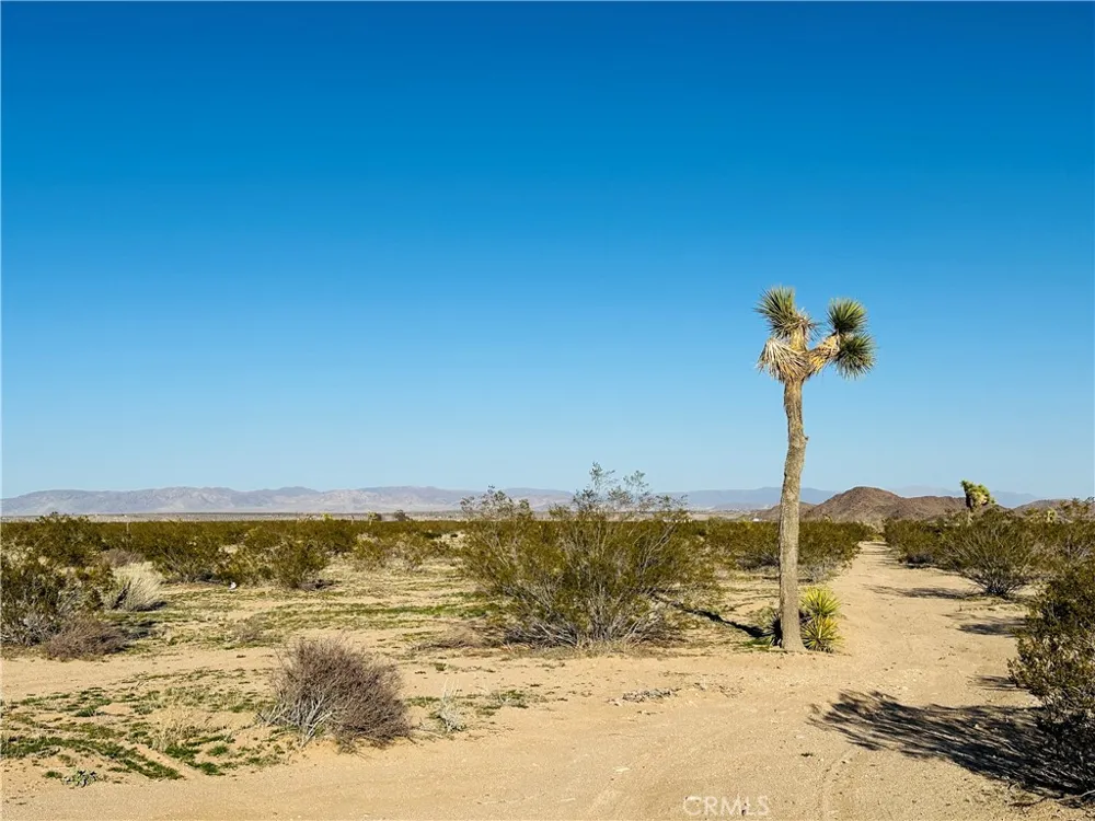 1974 Sunset Joshua Tree, CA 92252
