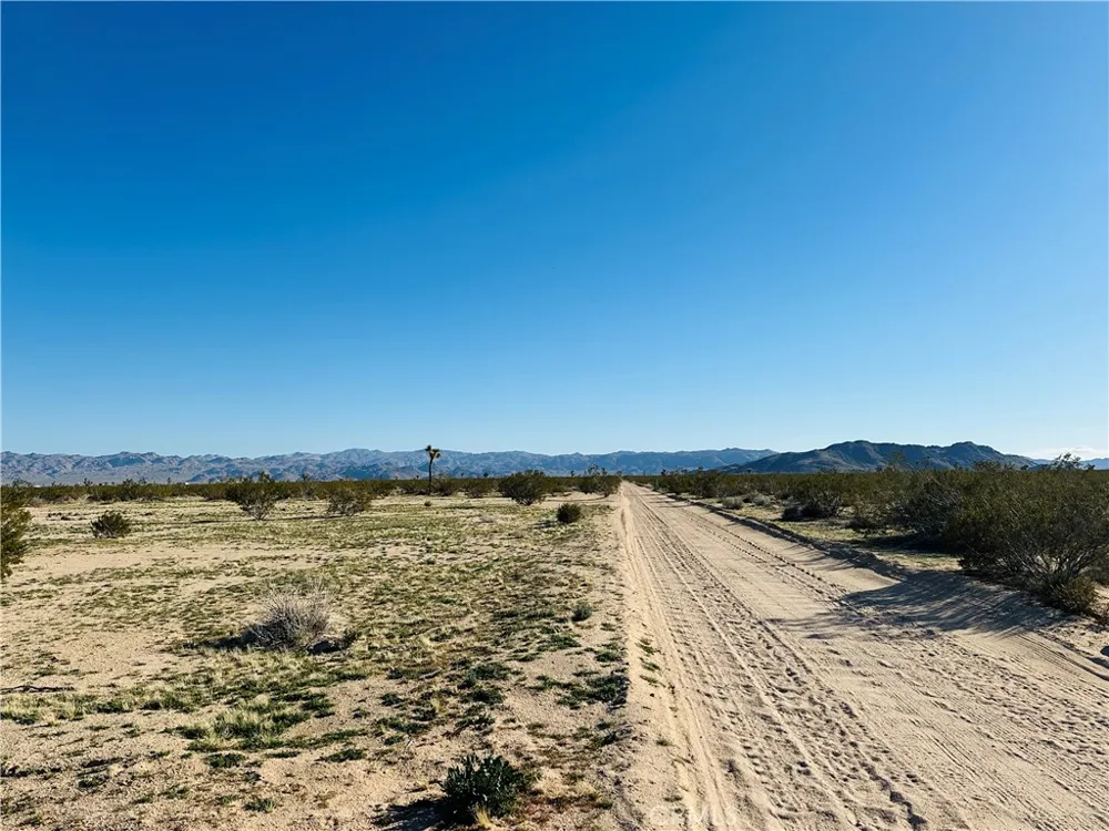 1974 Sunset Joshua Tree, CA 92252