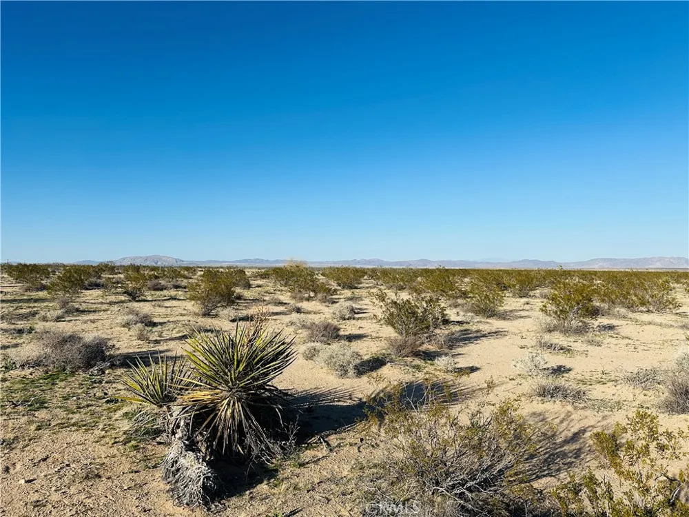 1974 Sunset Joshua Tree, CA 92252