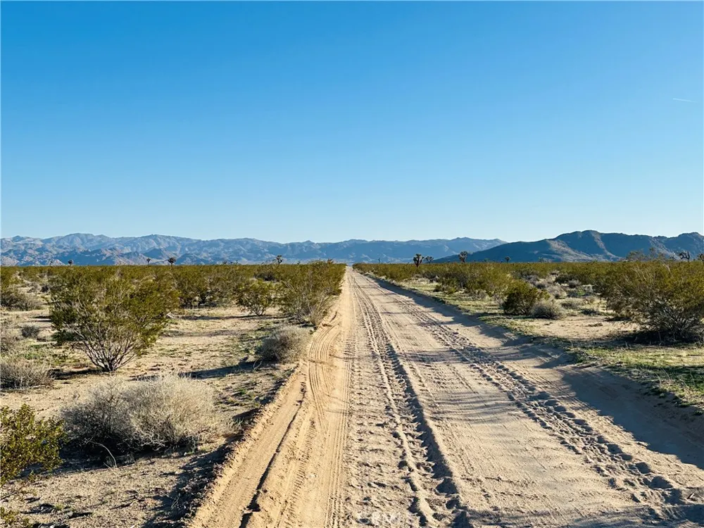 1974 Sunset Joshua Tree, CA 92252