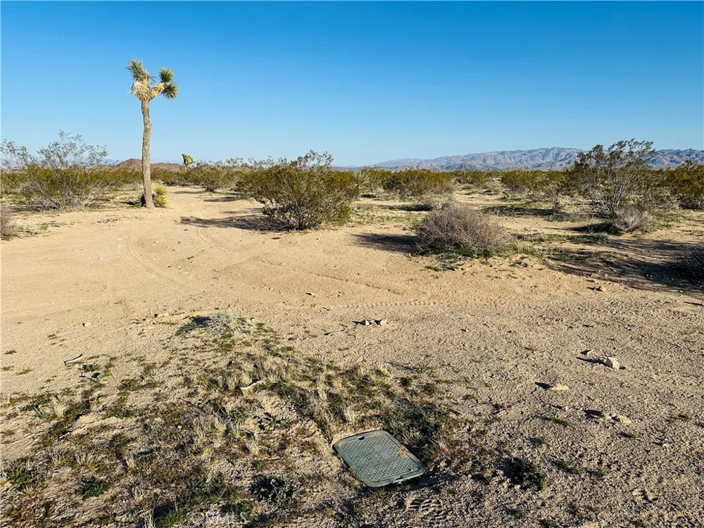 1974 Sunset Joshua Tree, CA 92252