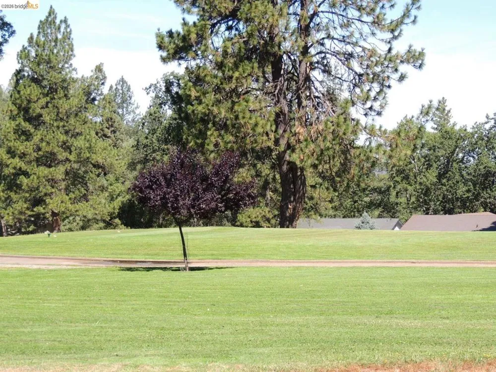 12728 Mount Jefferson St. Groveland, CA 95321