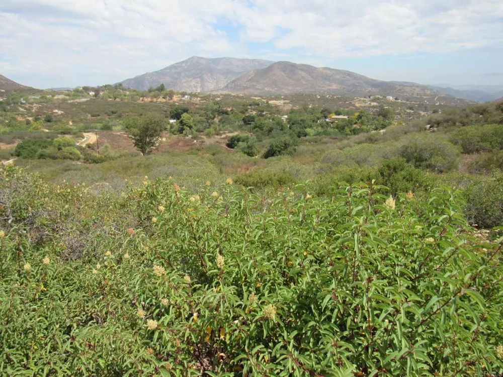 15 Hwy 94 Dulzura, CA 91917