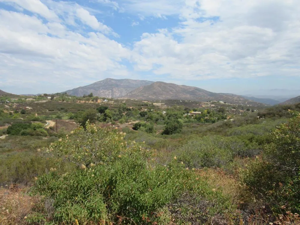 15 Hwy 94 Dulzura, CA 91917