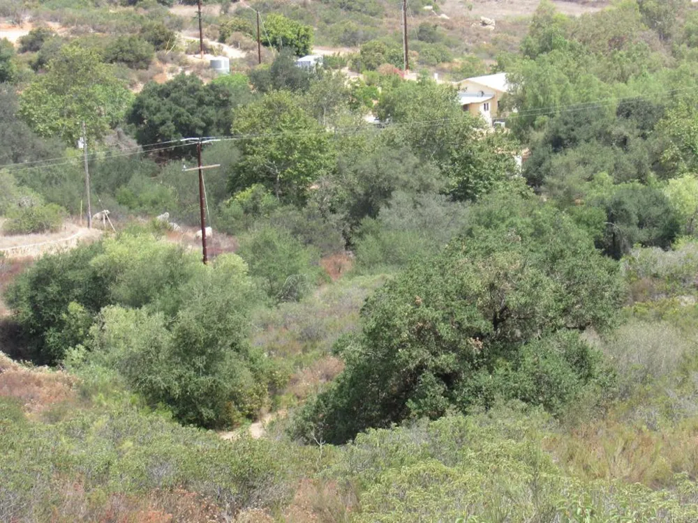 15 Hwy 94 Dulzura, CA 91917