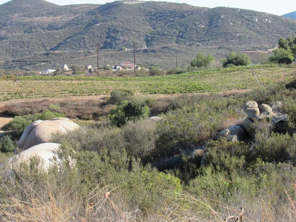 15 Hwy 94 Dulzura, CA 91917