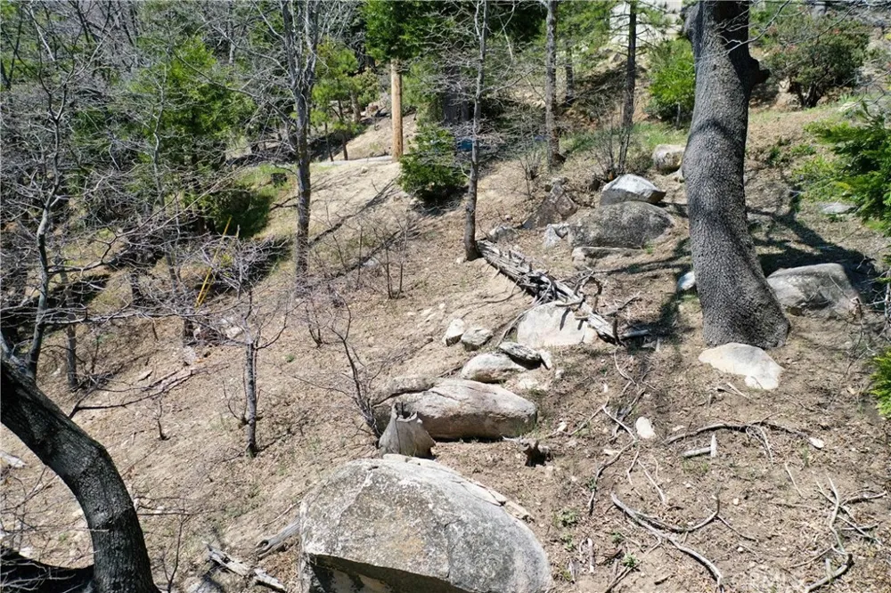 Old Toll Lake Arrowhead, CA 92352