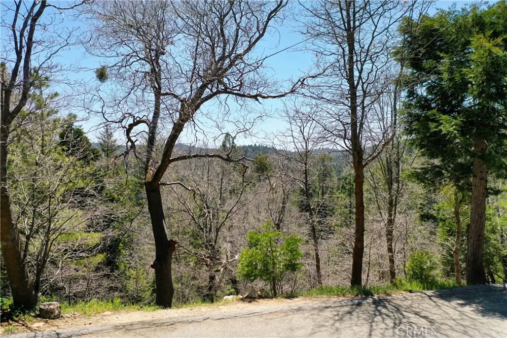Old Toll Lake Arrowhead, CA 92352
