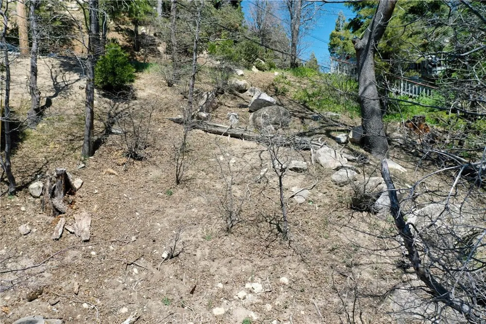 Old Toll Lake Arrowhead, CA 92352