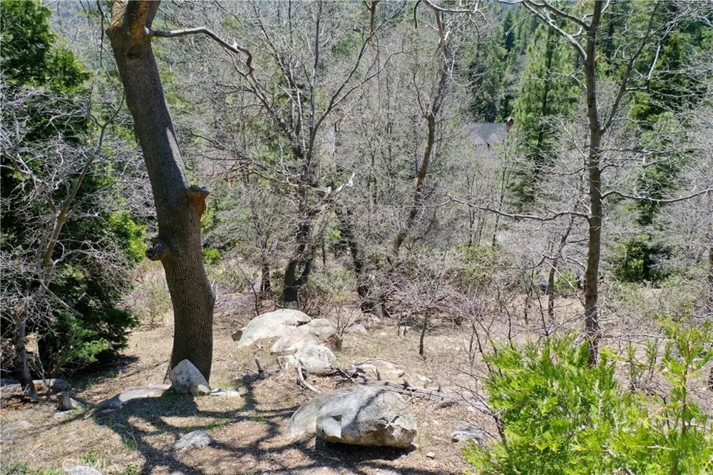 Old Toll Lake Arrowhead, CA 92352