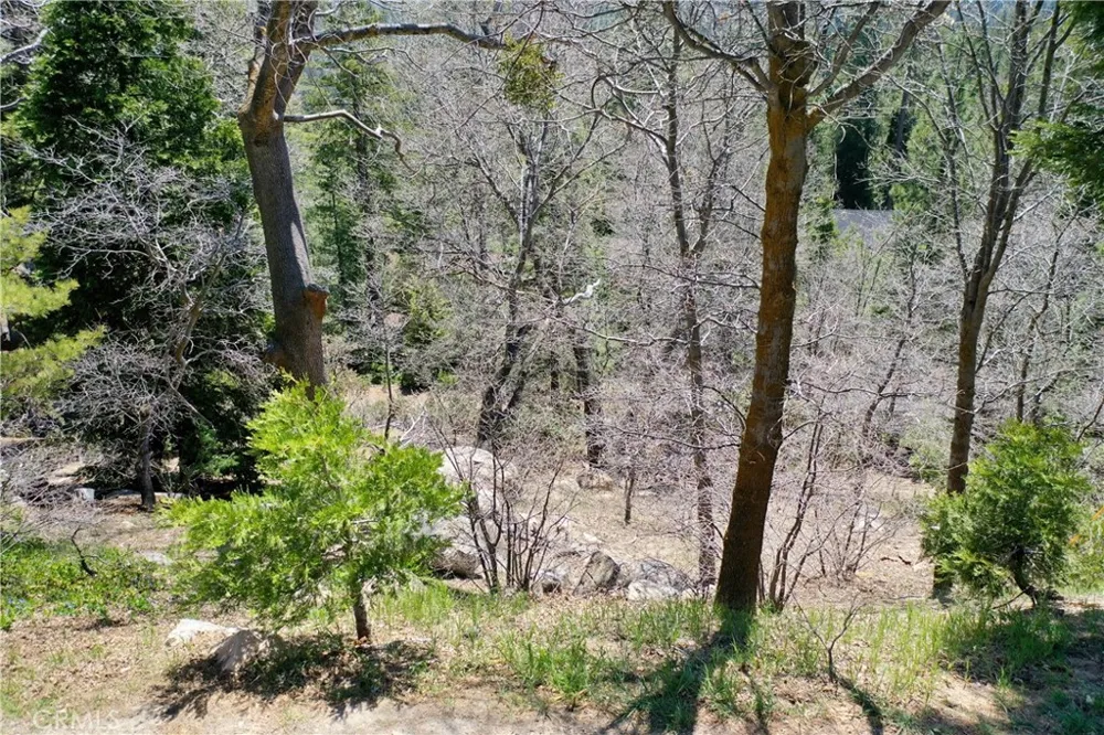 Old Toll Lake Arrowhead, CA 92352