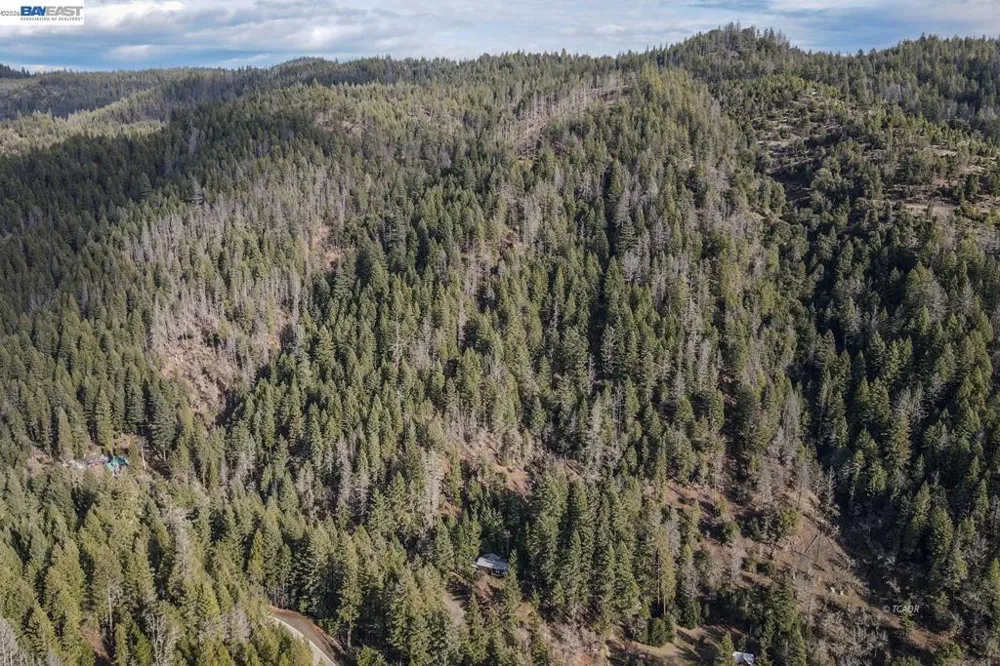 540 Lost Bridge Lewiston, CA 96052
