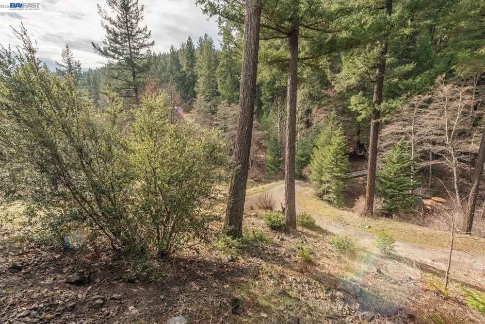 540 Lost Bridge Lewiston, CA 96052