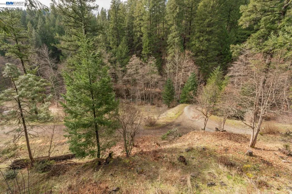 540 Lost Bridge Lewiston, CA 96052
