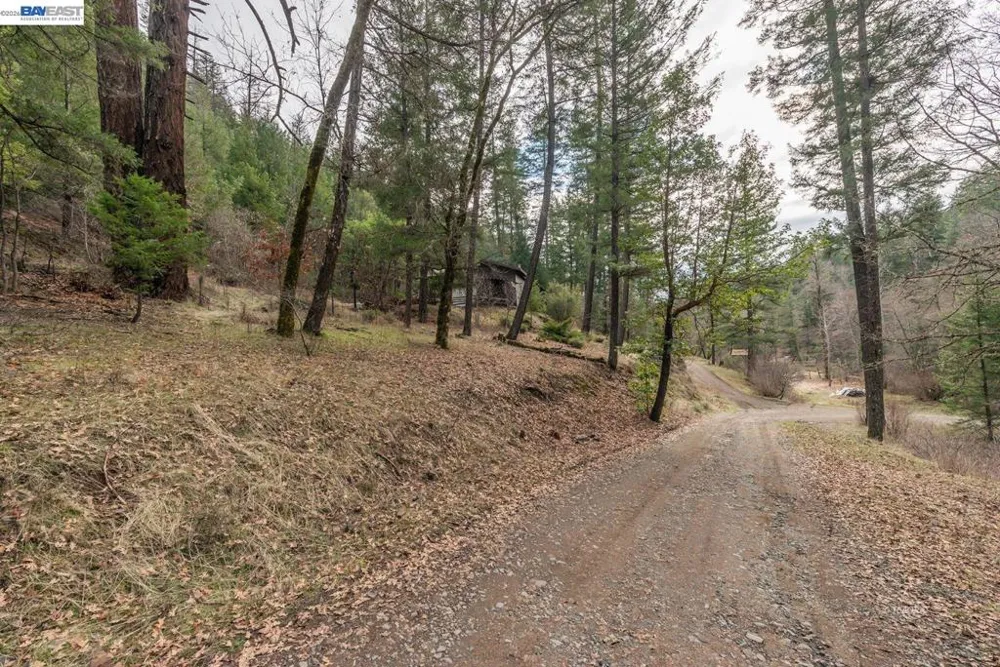 540 Lost Bridge Lewiston, CA 96052