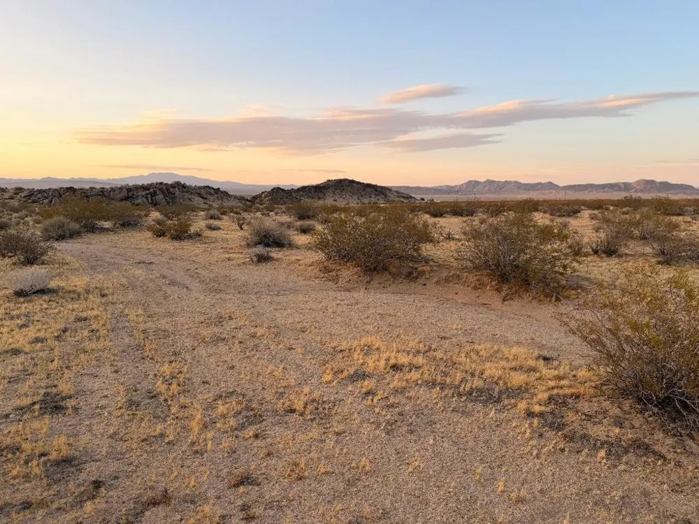11 Saddle Rock Way Johnson Valley, CA 92285