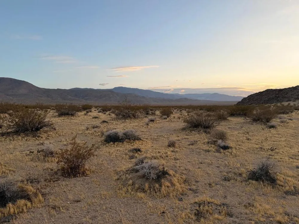 11 Saddle Rock Way Johnson Valley, CA 92285