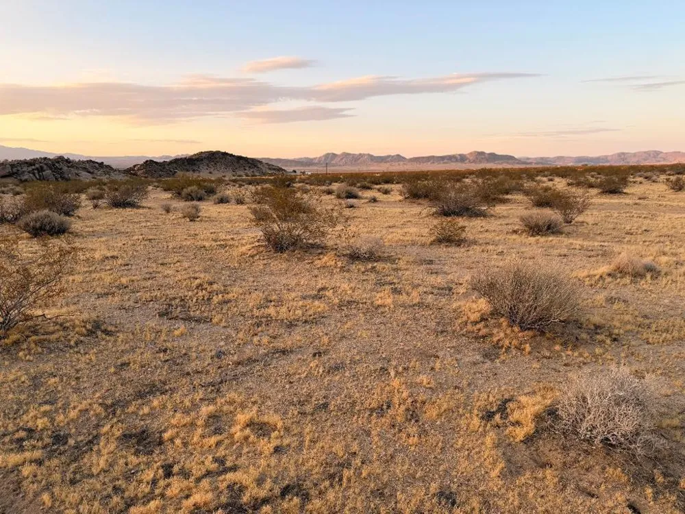 11 Saddle Rock Way Johnson Valley, CA 92285