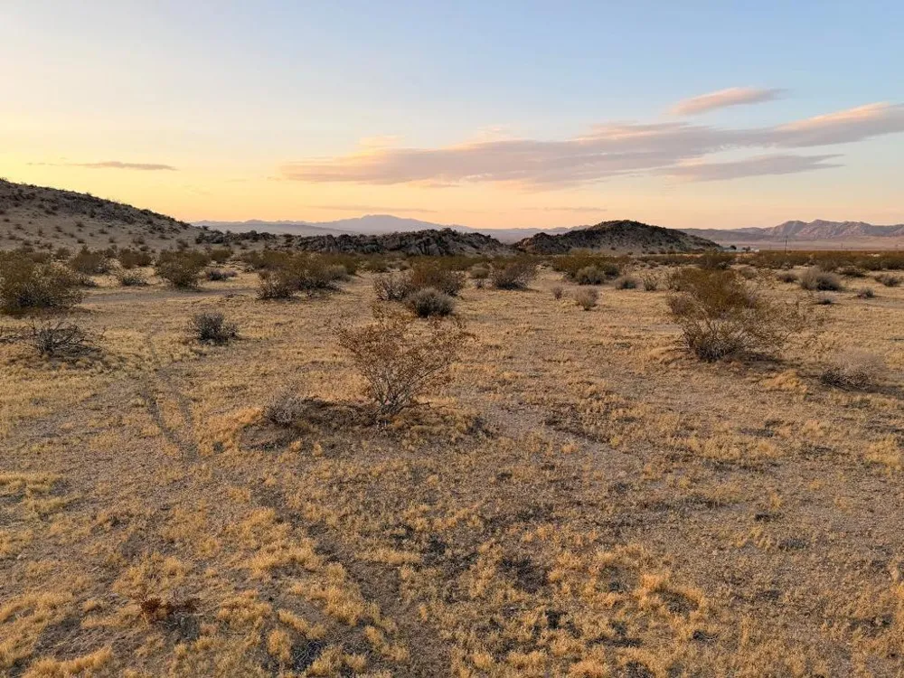 11 Saddle Rock Way Johnson Valley, CA 92285