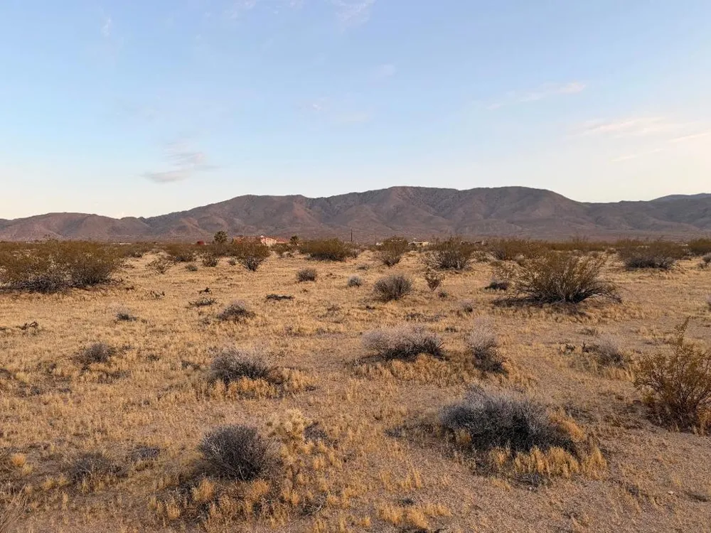 11 Saddle Rock Way Johnson Valley, CA 92285