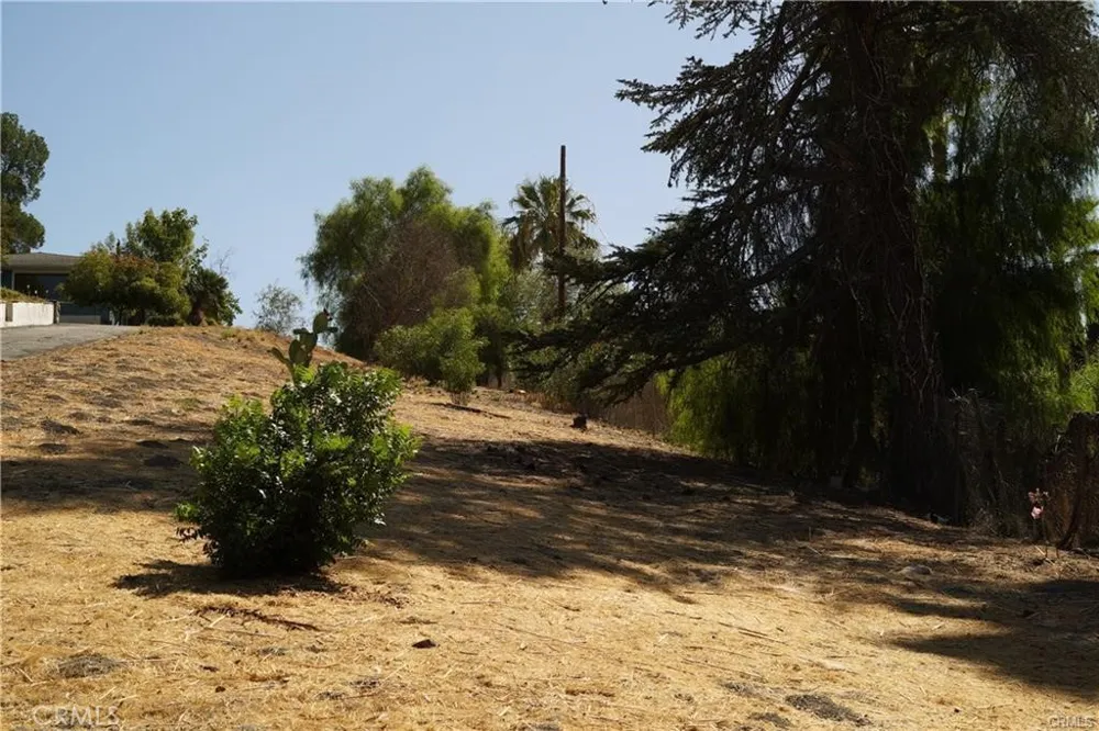 22636 Avenue San Luis Woodland Hills, CA 91364