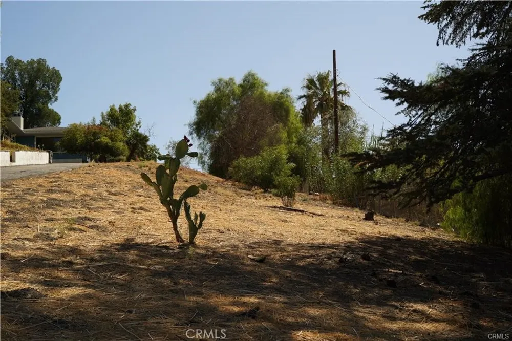 22636 Avenue San Luis Woodland Hills, CA 91364