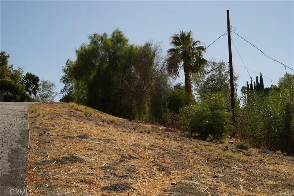 22636 Avenue San Luis Woodland Hills, CA 91364