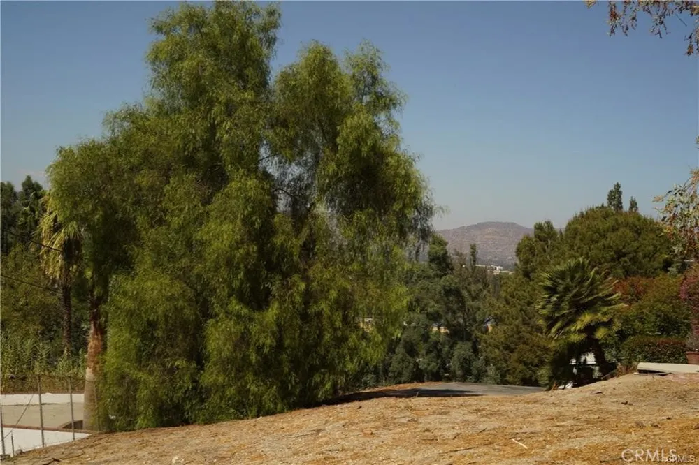 22636 Avenue San Luis Woodland Hills, CA 91364