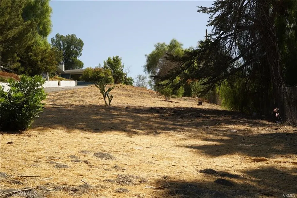 22636 Avenue San Luis Woodland Hills, CA 91364
