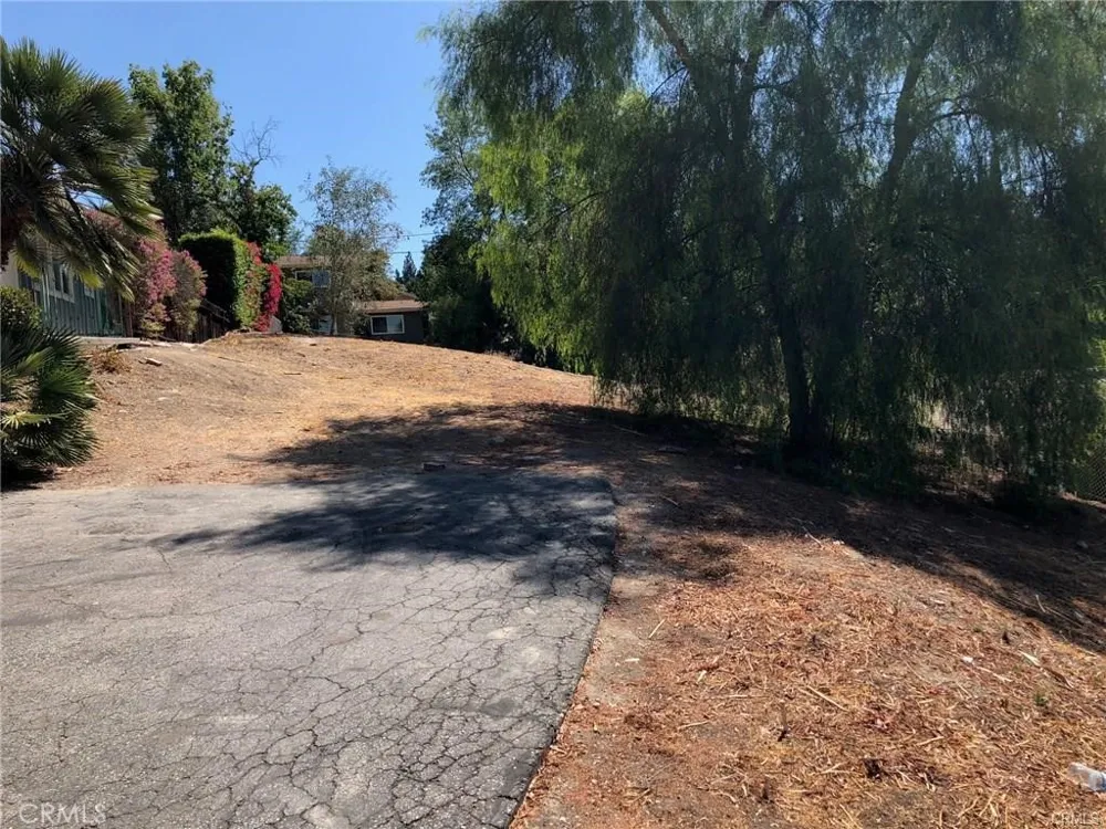 22636 Avenue San Luis Woodland Hills, CA 91364