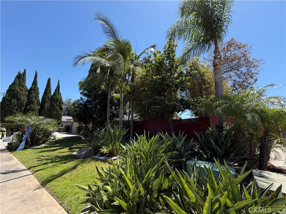 1515 Montiel Road San Marcos, CA 92069